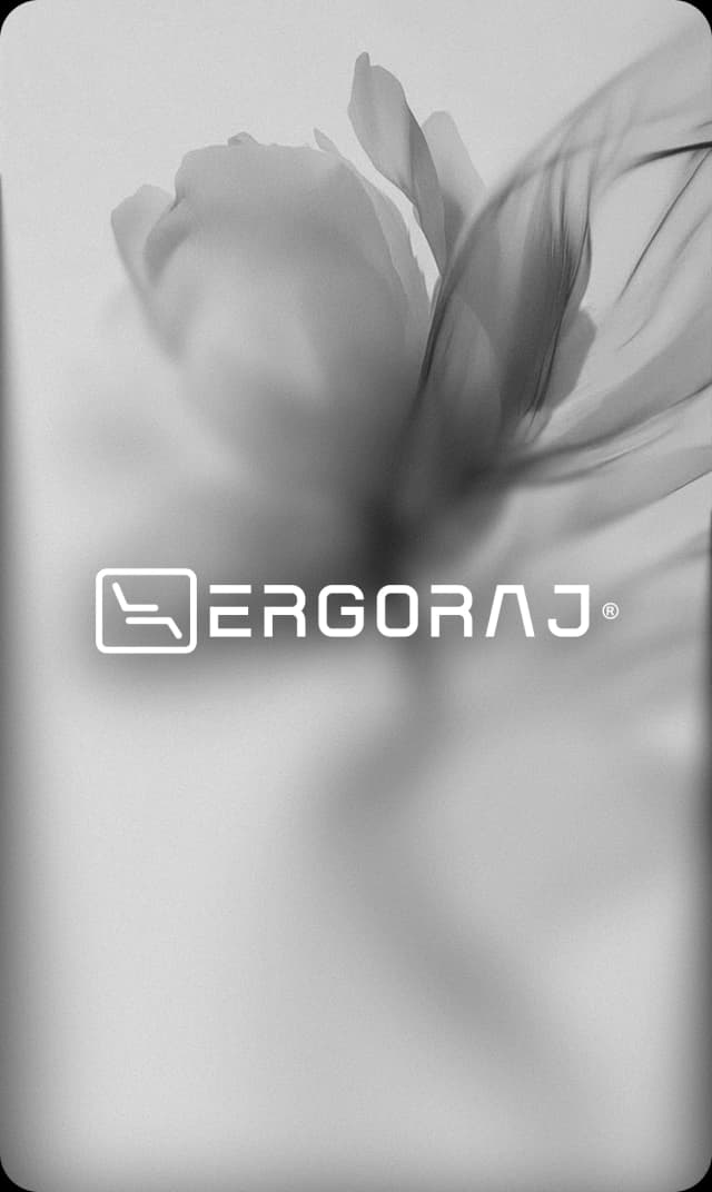Ergoraj