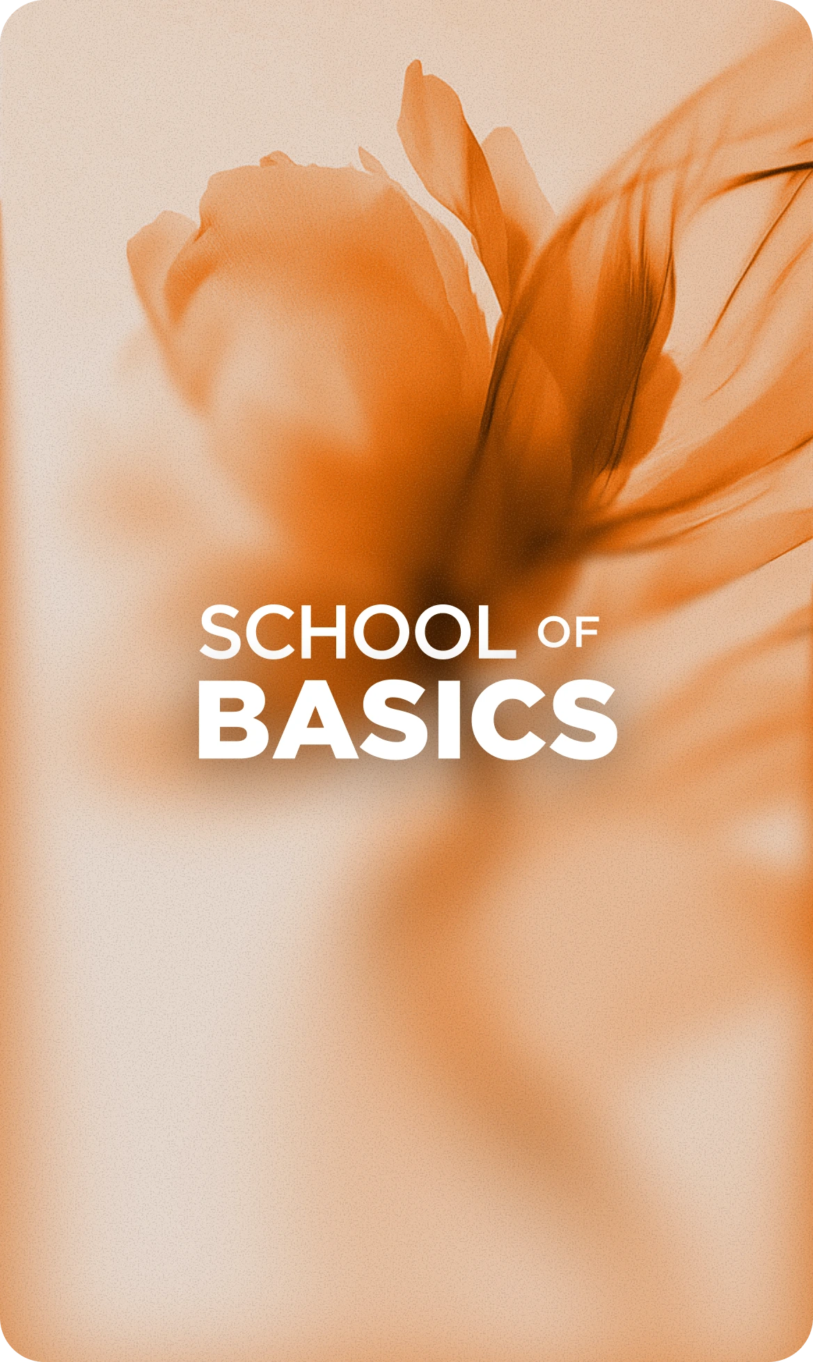 School of Basics